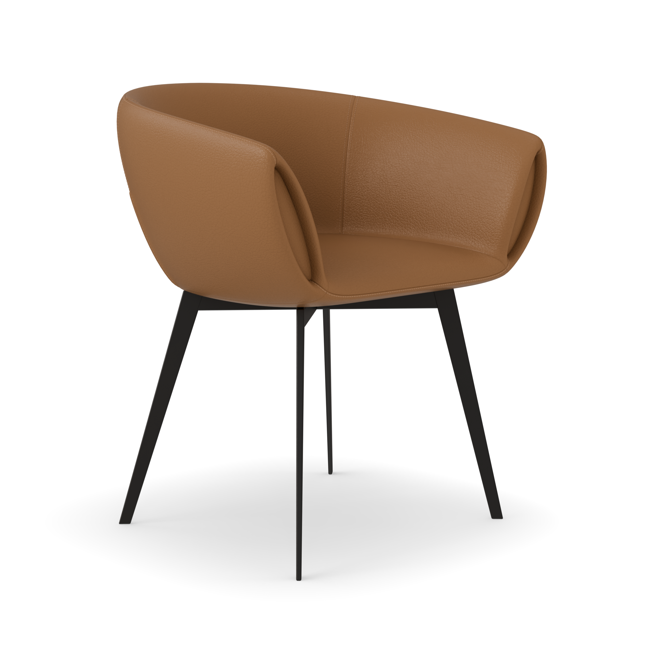 Neida Dining Chair