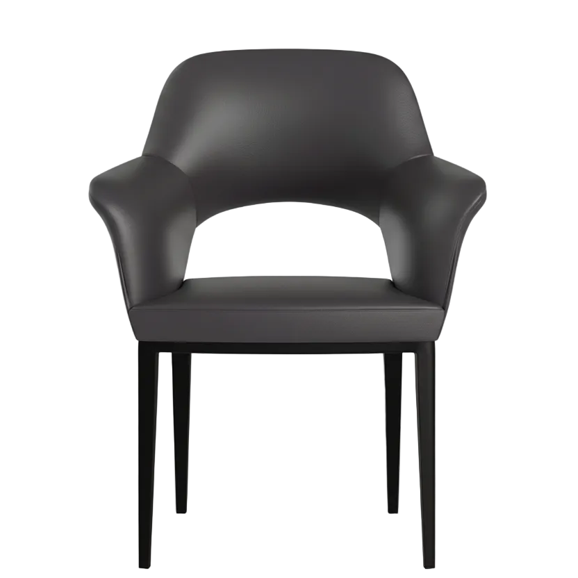 Rubi Dining Chair Leather