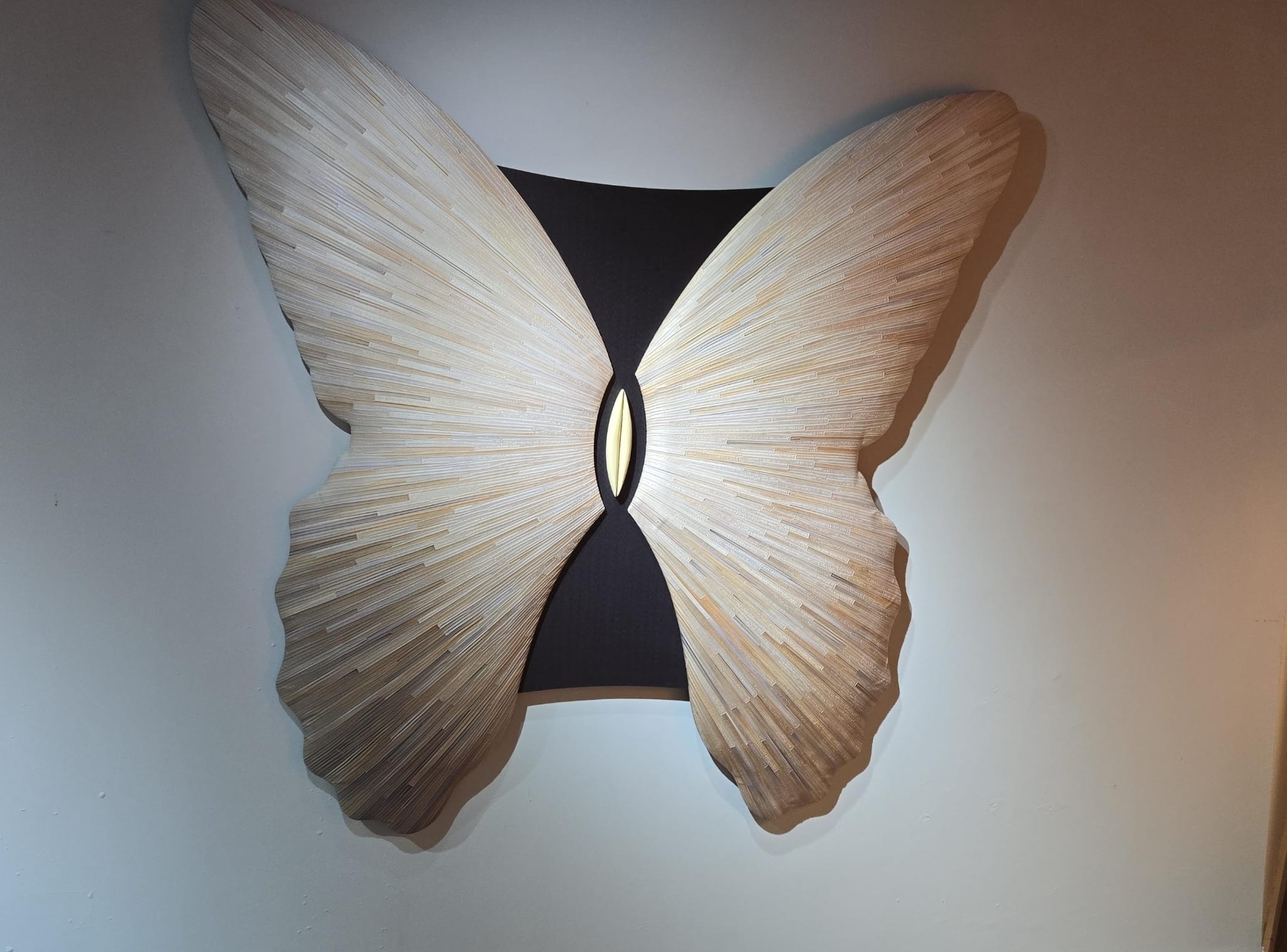 Butterfly Canvas